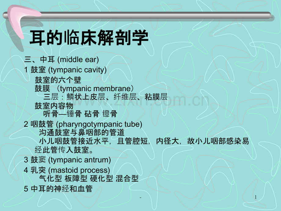 耳的临床解剖学PPT课件.ppt_第1页