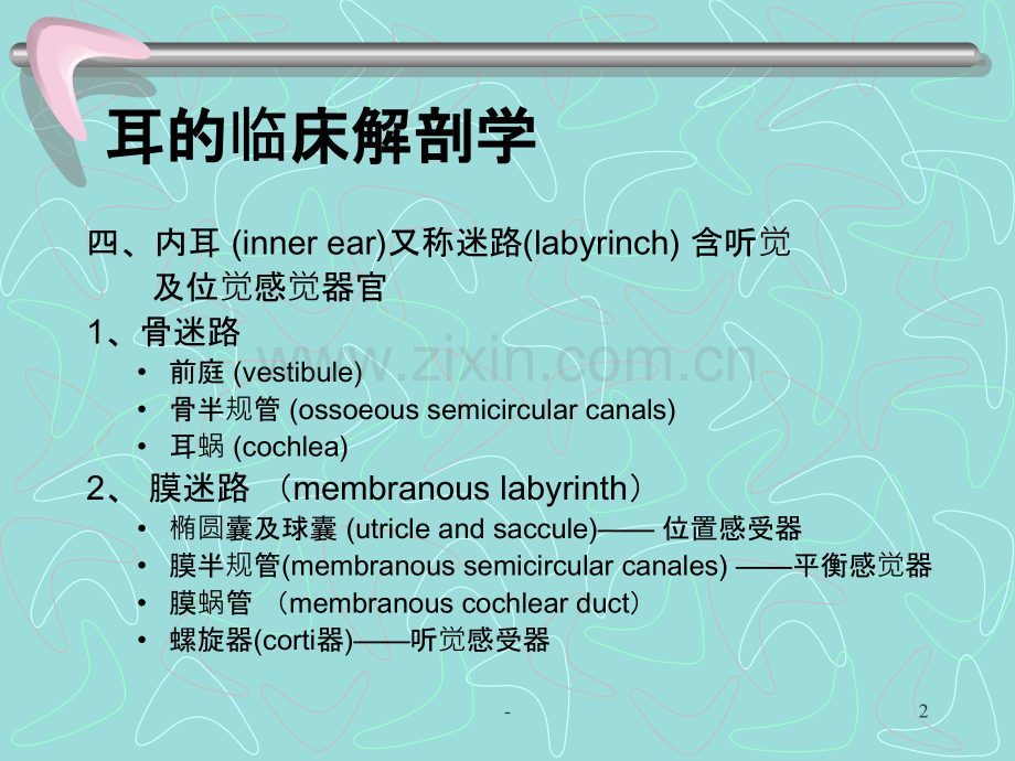 耳的临床解剖学PPT课件.ppt_第2页