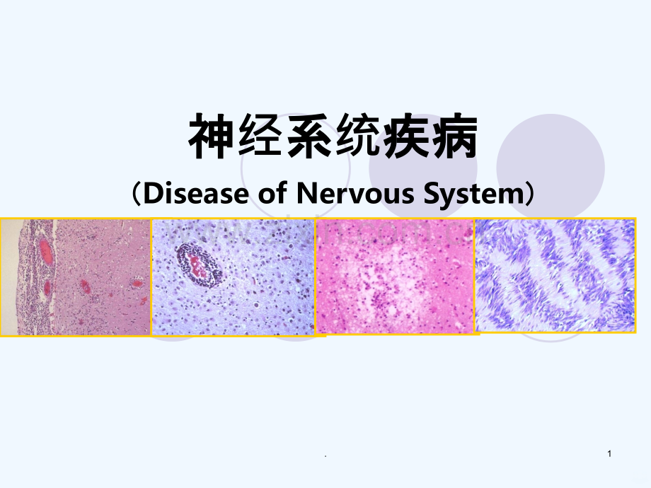 中枢神经系统课件.ppt_第1页