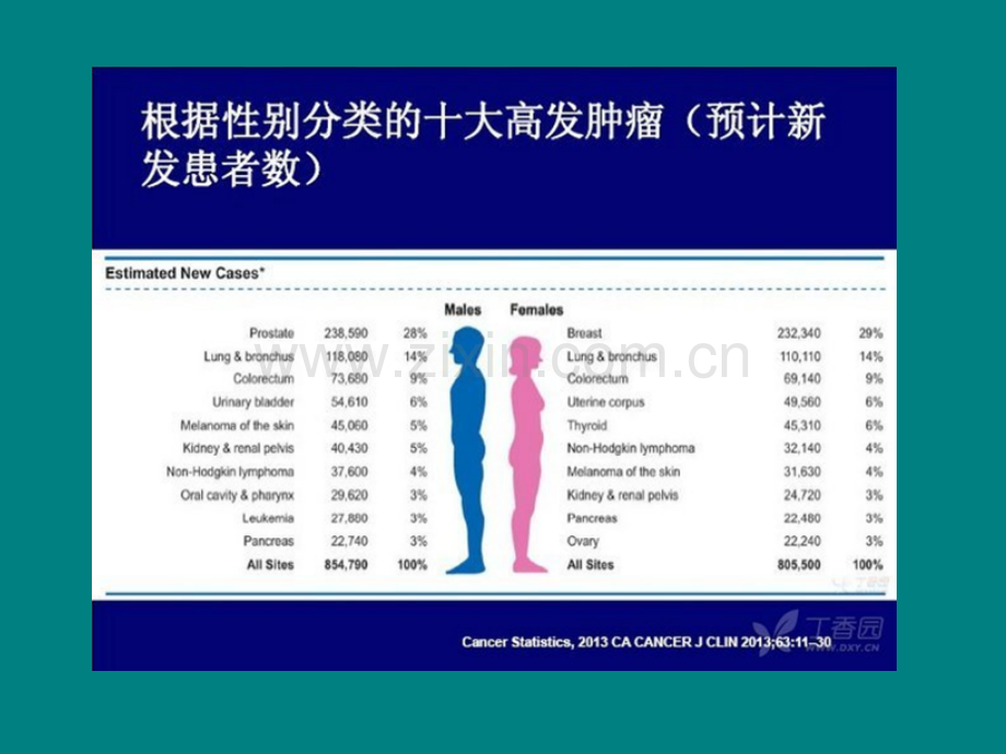 白蛋白紫杉醇治疗晚期胰腺癌ppt课件.ppt_第2页