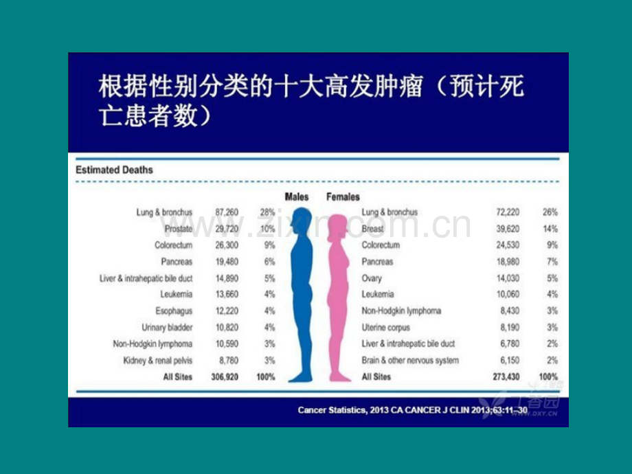 白蛋白紫杉醇治疗晚期胰腺癌ppt课件.ppt_第3页