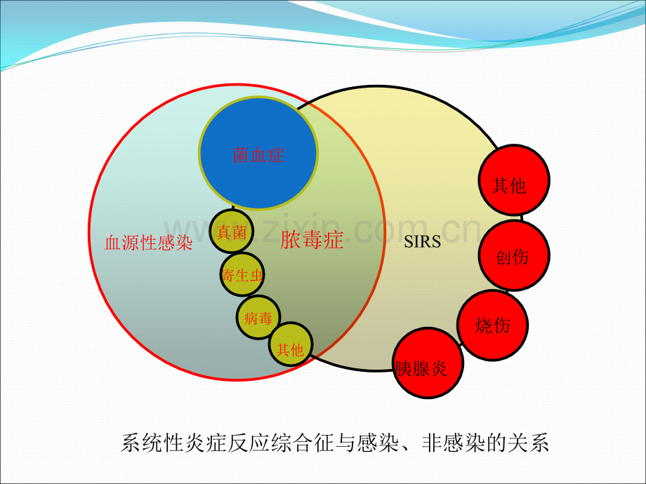 sepsis-与-MODSppt课件.ppt_第3页