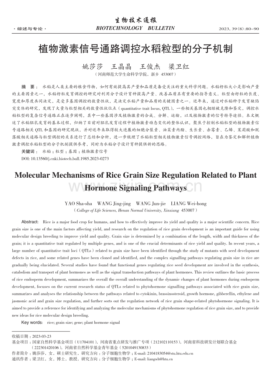 植物激素信号通路调控水稻粒型的分子机制.pdf_第1页