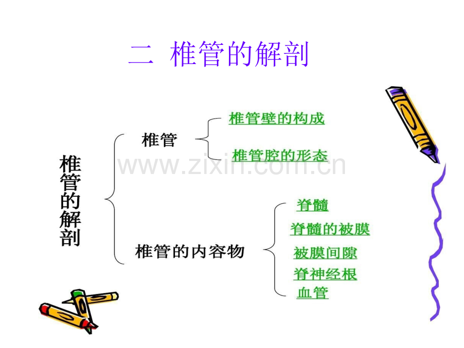 椎管占位病人的护理-(2)ppt课件.ppt_第3页