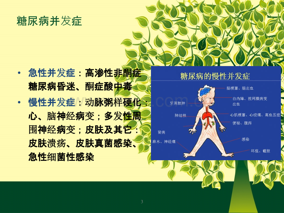 胰岛素口服降糖药.ppt_第3页