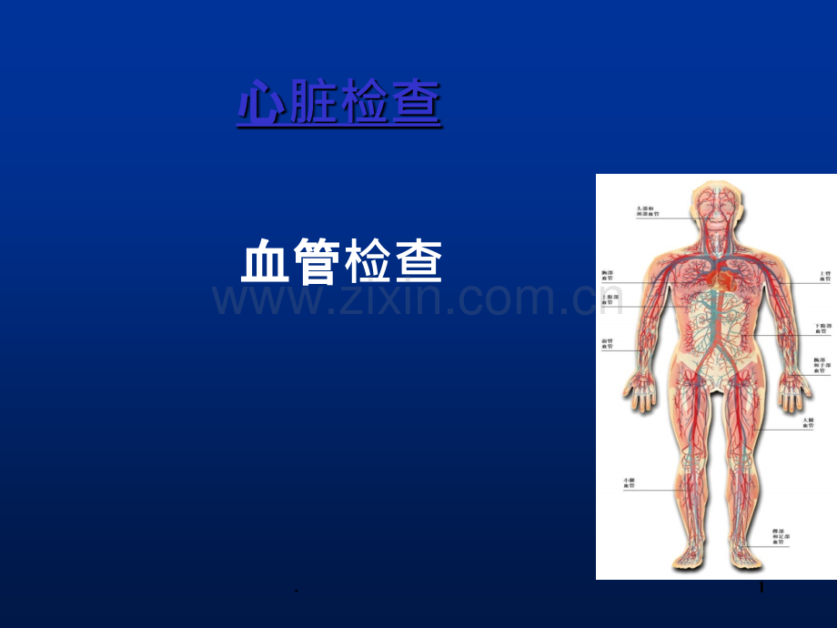 心脏查体之血管检查.ppt_第1页