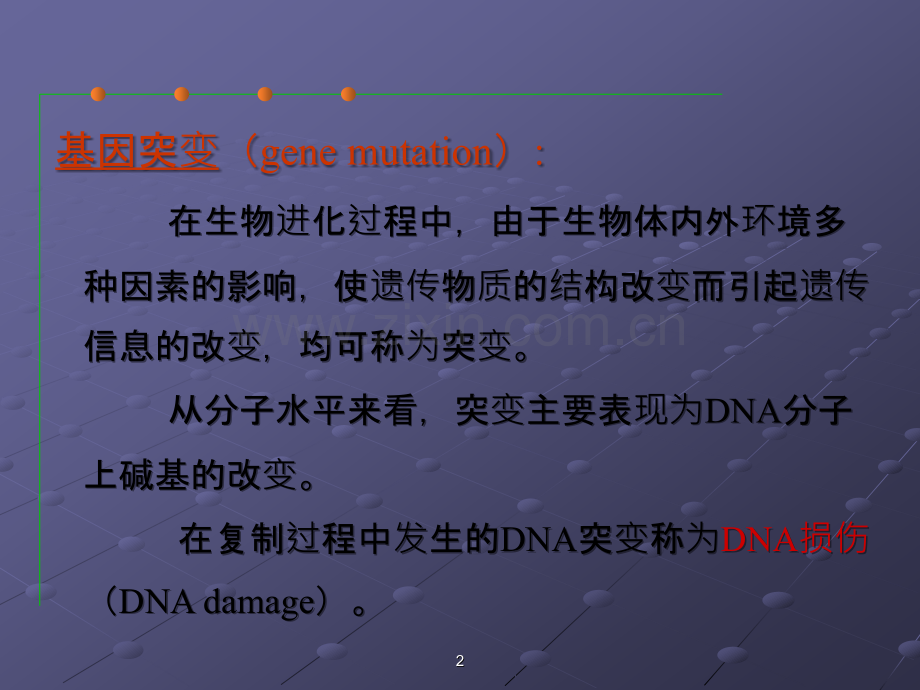 DNA损伤修复与抗肿瘤药物研究ppt课件.ppt_第2页