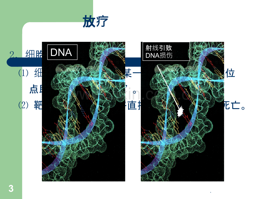 肿瘤放疗患者的护理.ppt_第3页