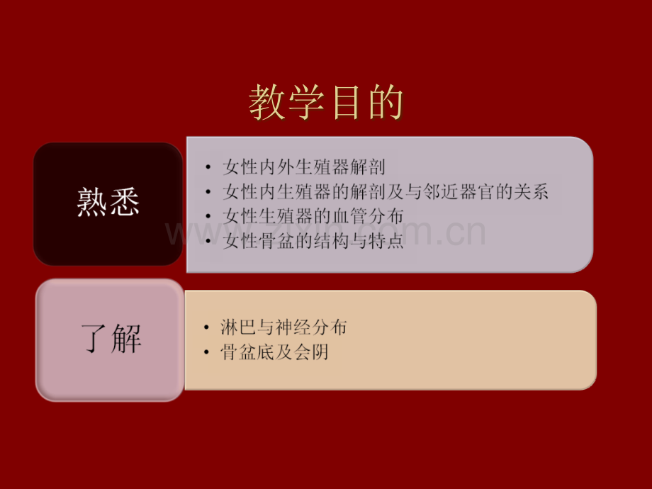 妇产科学——女性生殖系统解剖.ppt_第2页