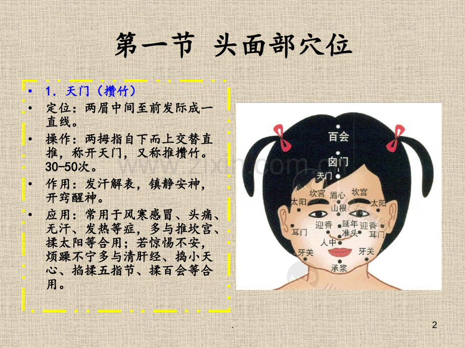 小儿推拿常用穴位(1)PPT课件.ppt_第2页