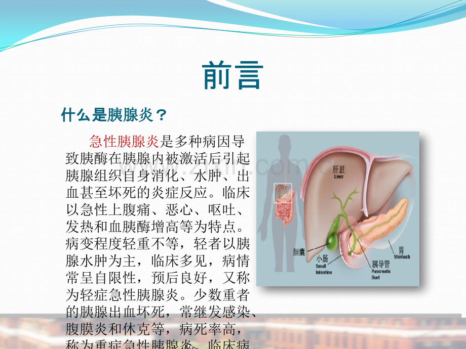 胰腺炎的中医护理查房PPT课件.pptx_第2页