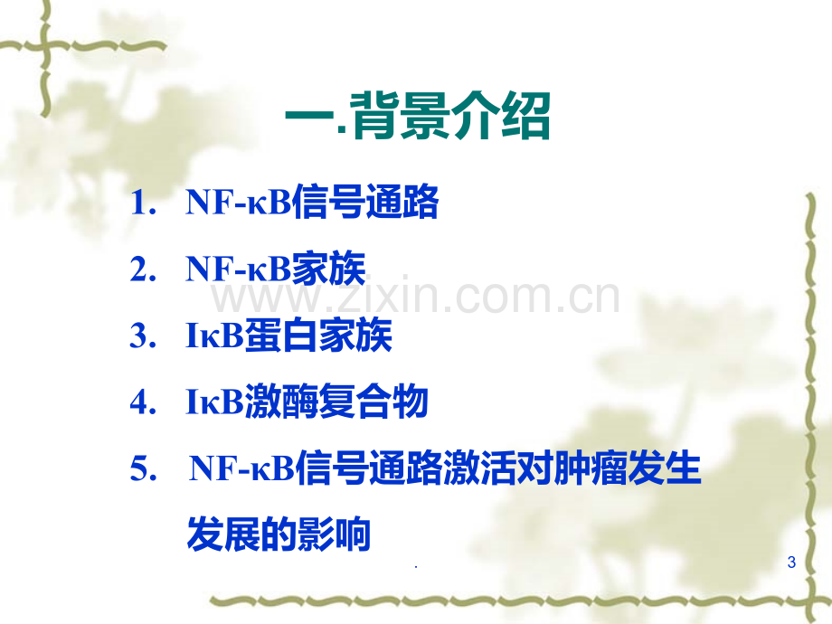 NFκB信号通路PPT课件.ppt_第3页