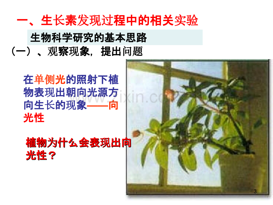 植物的激素调PPT课件.ppt_第3页