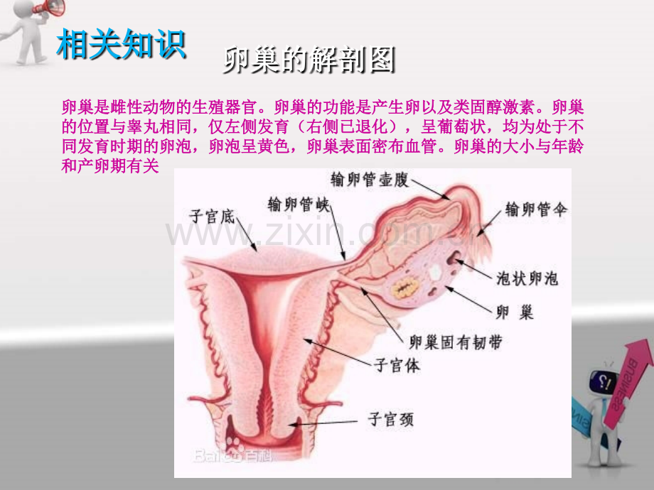 卵巢囊肿护理教学查房ppt课件.pptx_第3页