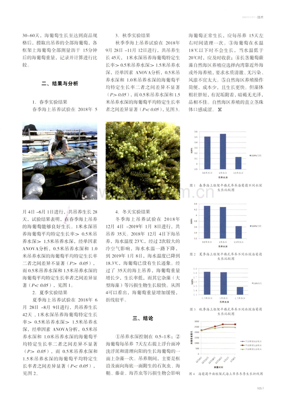 长茎葡萄蕨藻自然海区栽培试验.pdf_第2页