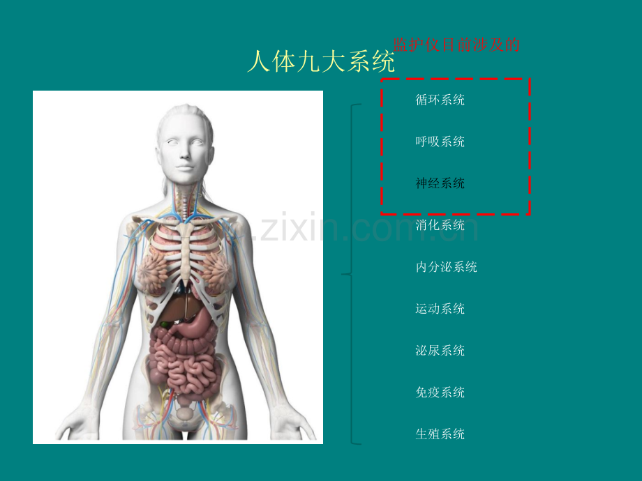 血流动力学临床应用.pptx_第2页