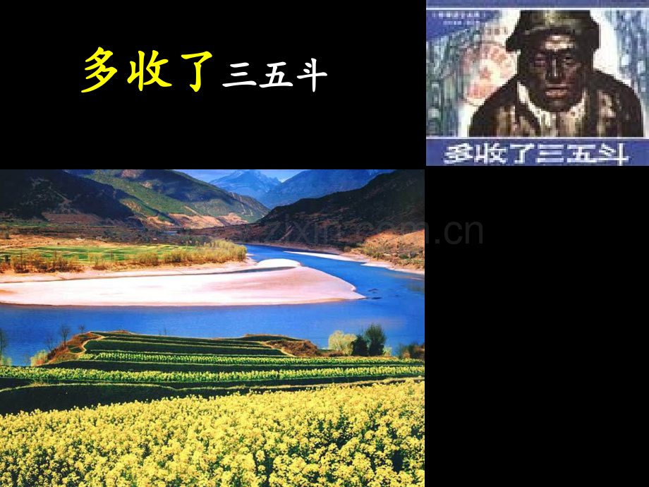 1.多收了三五斗PPT课件.ppt_第1页