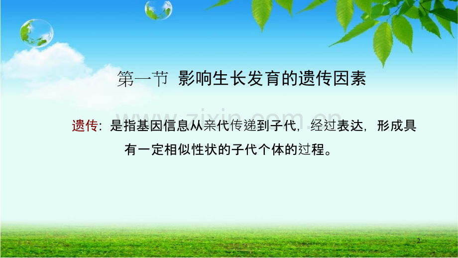 影响生长发育的因素PPT课件.ppt_第2页