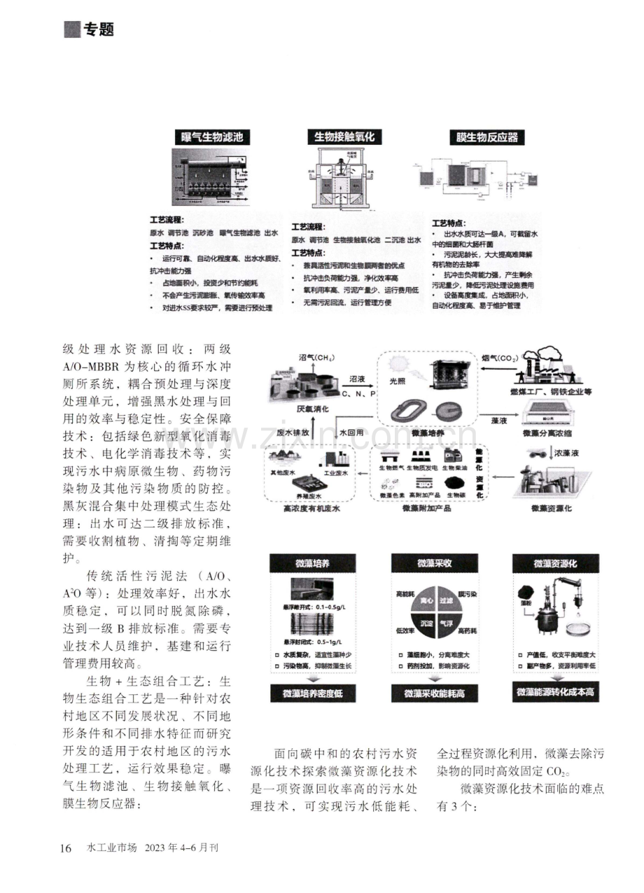 张亚雷：而向碳中和的农村污水资源化技术.pdf_第3页