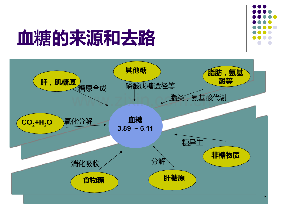 ICU患者血糖的控制PPT课件.ppt_第2页