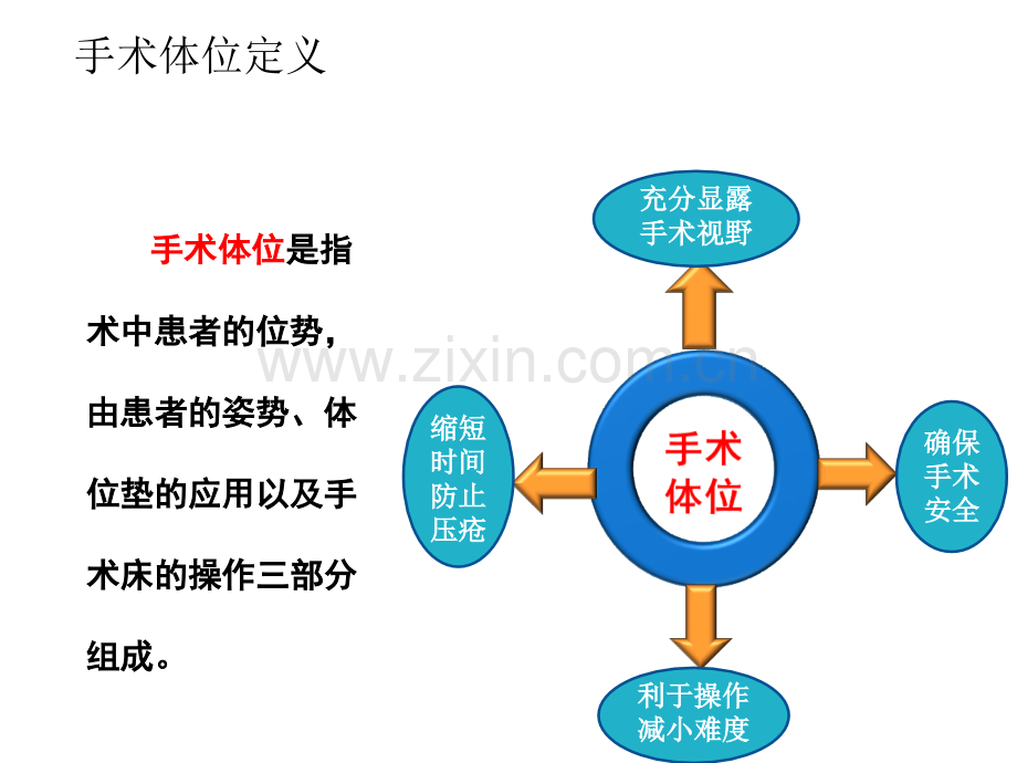 常见体位安置与防护.ppt_第2页