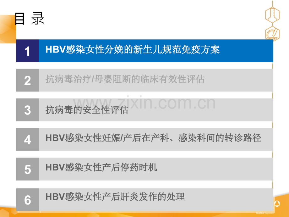 HBV感染女性产后规范管理ppt课件.pptx_第2页