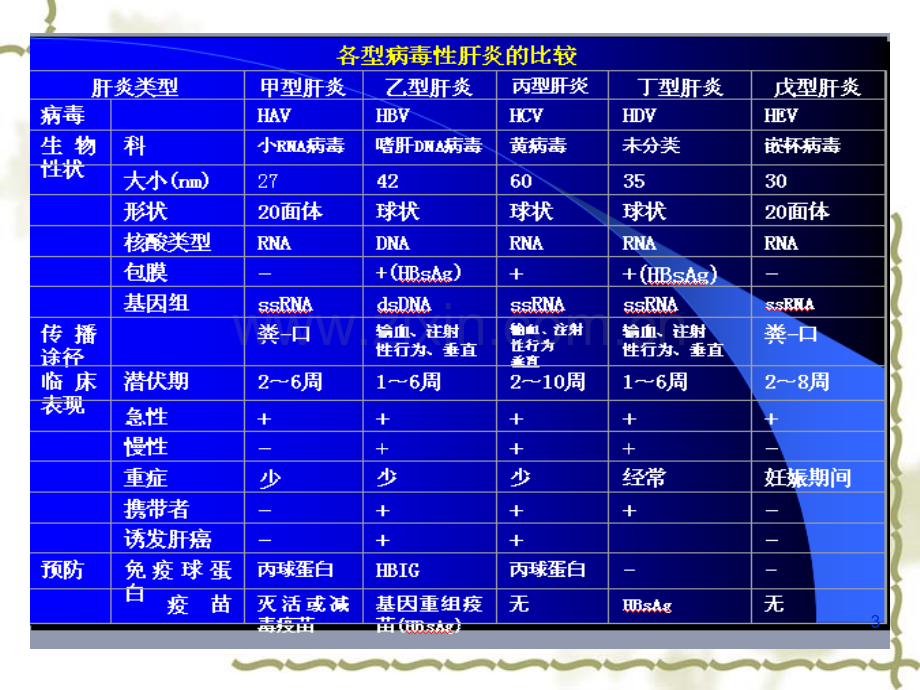 第四节-肝炎病毒PPT课件.ppt_第3页