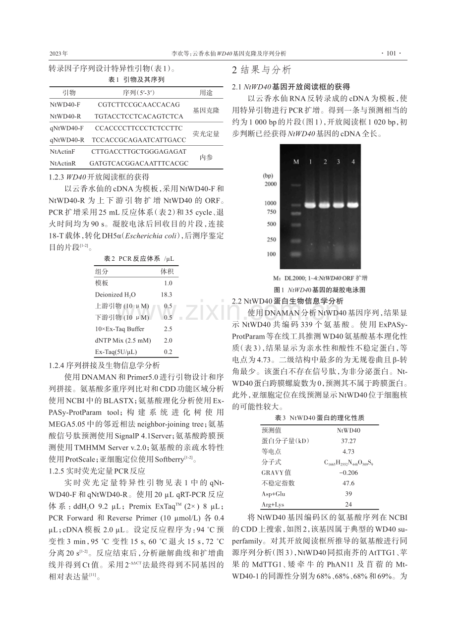 云香水仙WD40基因克隆及序列分析.pdf_第2页