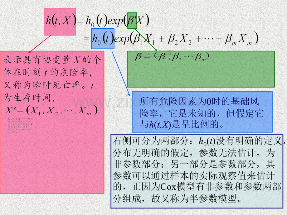 cox比例风险回归模型及其R程序.ppt_第3页