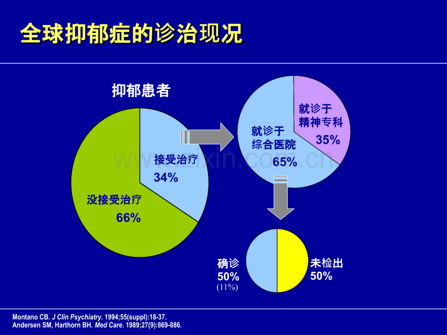 度洛西汀药理机制和临床疗效ppt课件.ppt_第3页