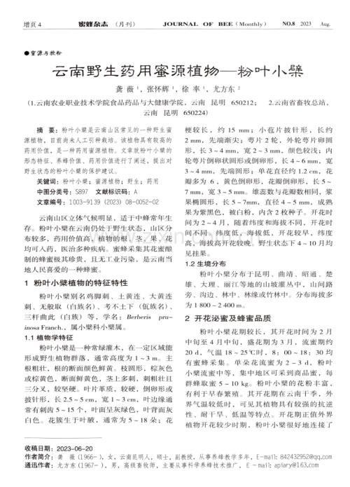 云南野生药用蜜源植物——粉叶小檗.pdf