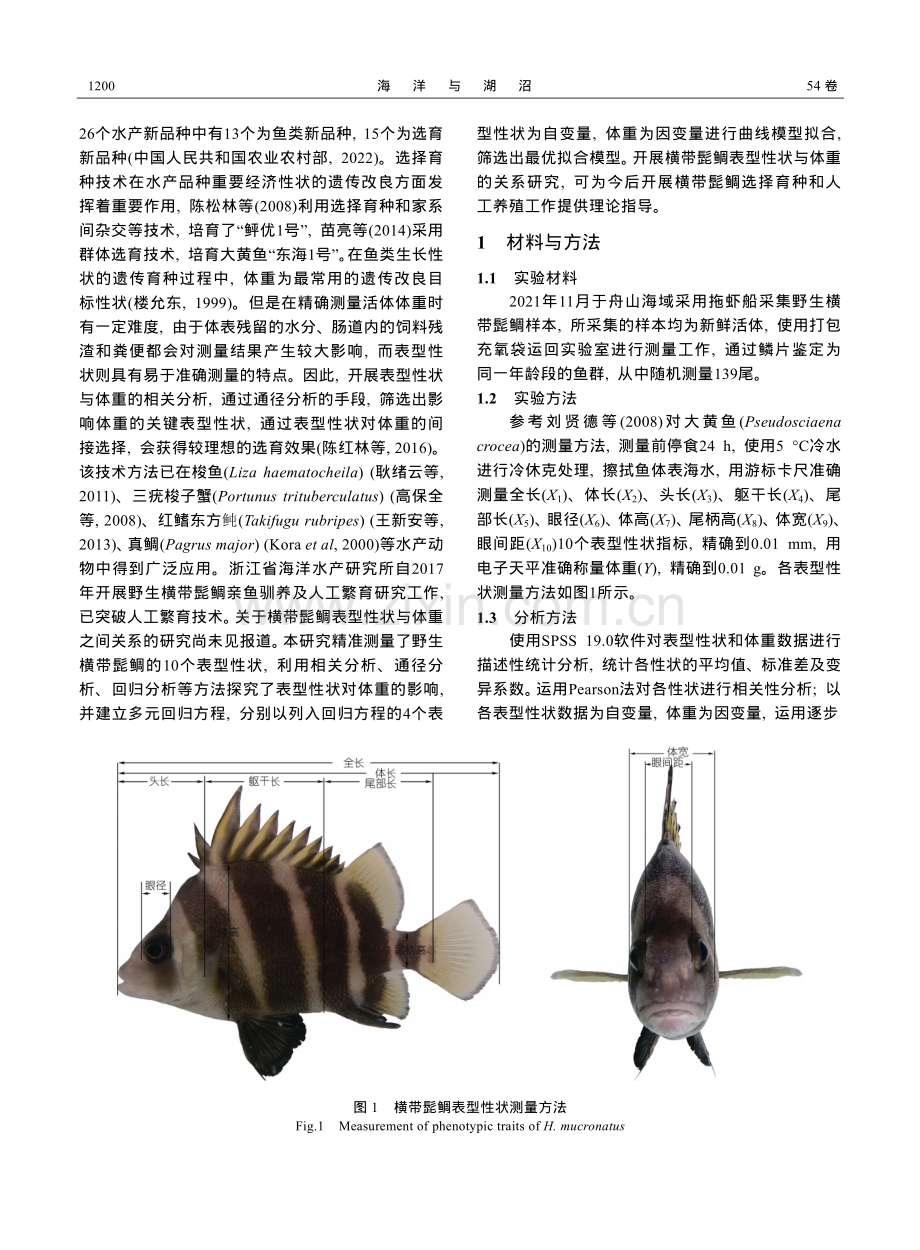 浙江近海横带髭鲷（Hapalogenys mucronatus）表型性状与体重的通径分析及曲线拟合.pdf_第2页