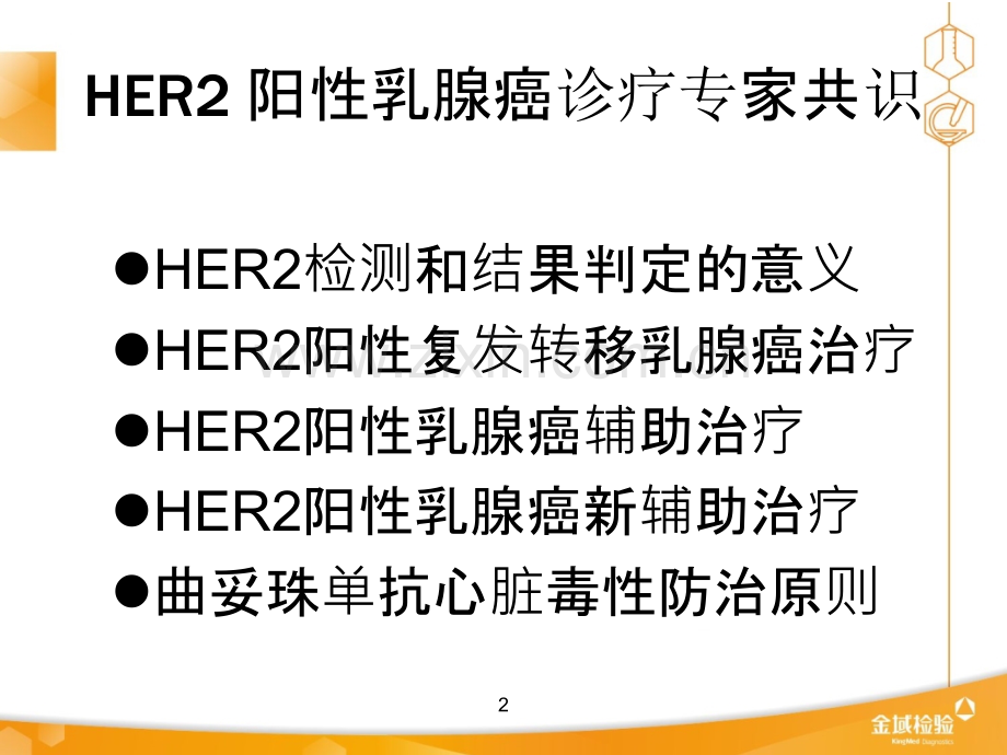 HER阳性乳腺癌的治疗ppt课件.ppt_第2页