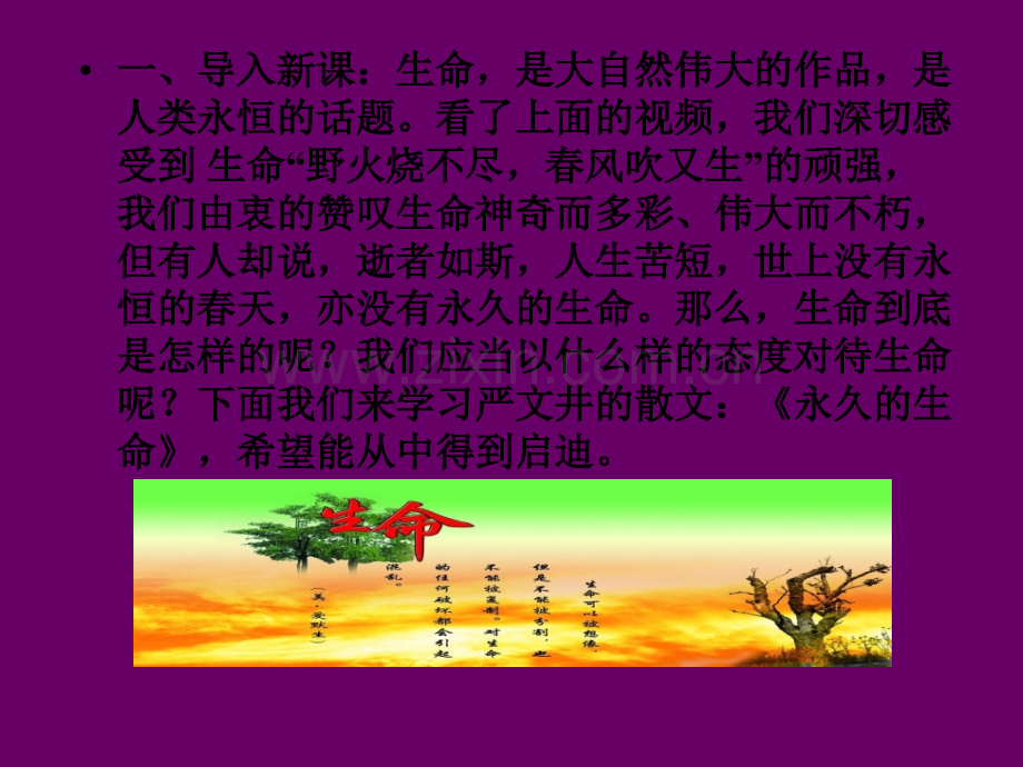 永久的生命----严文井.ppt_第3页