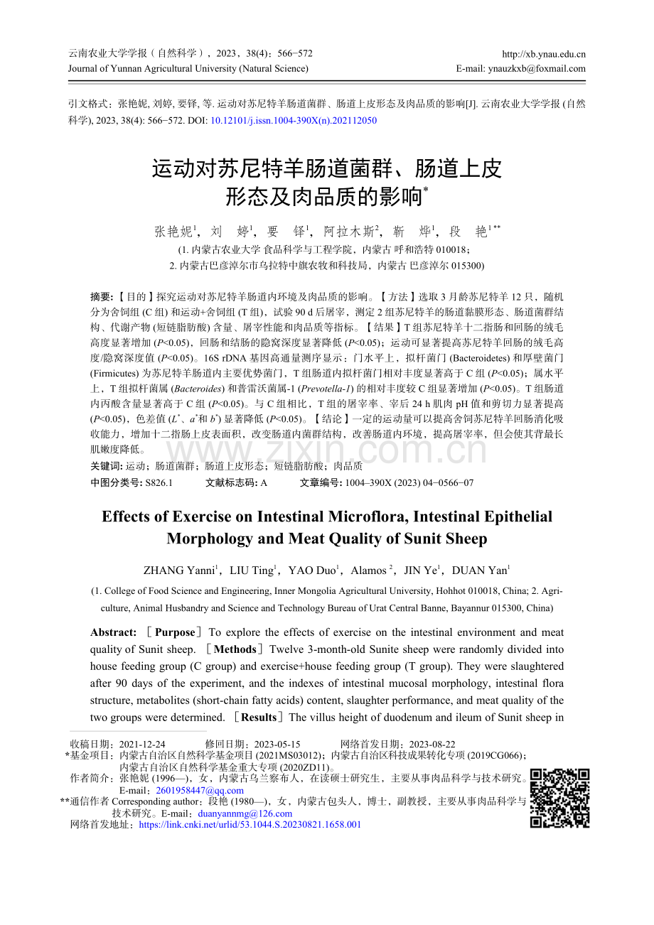 运动对苏尼特羊肠道菌群、肠道上皮形态及肉品质的影响.pdf_第1页