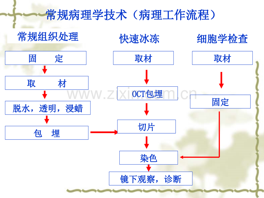 常规病理检查重点PPT课件.ppt_第2页