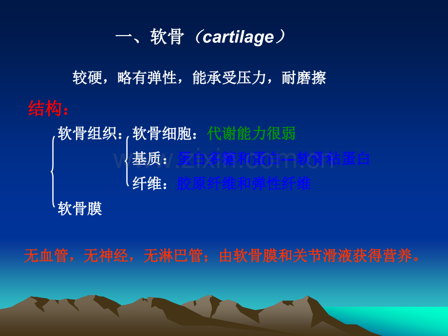 第五章软骨和骨.ppt_第3页