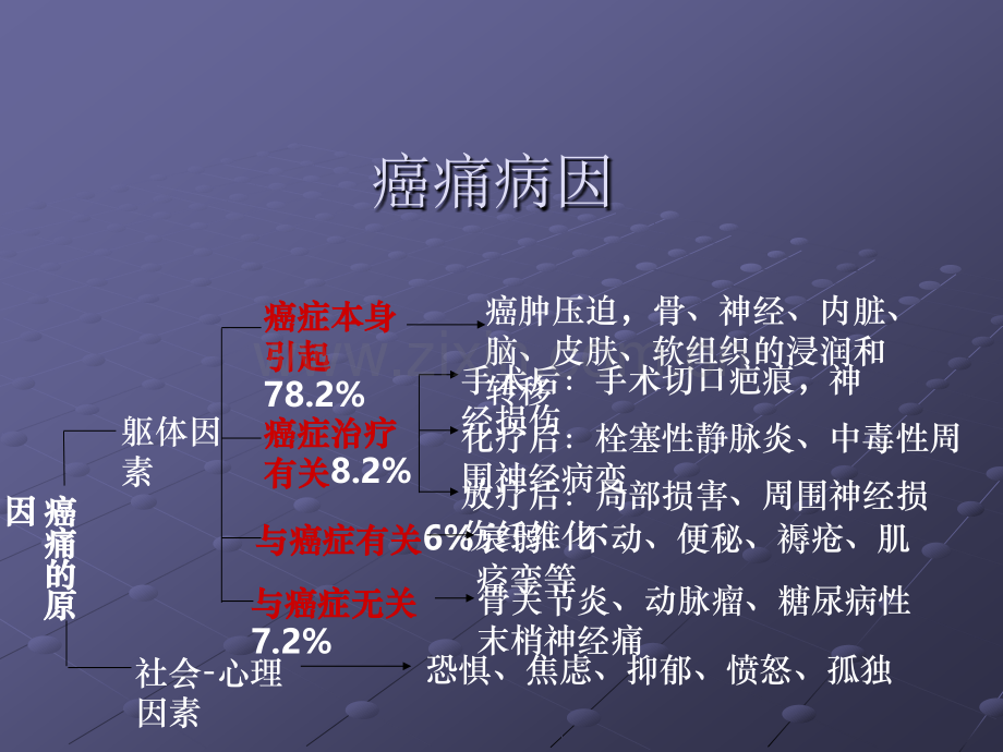 癌痛的规范化治疗ppt课件.ppt_第3页