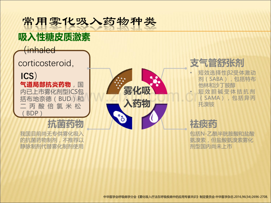 常用雾化吸入药物的药理介绍ppt课件.pptx_第2页