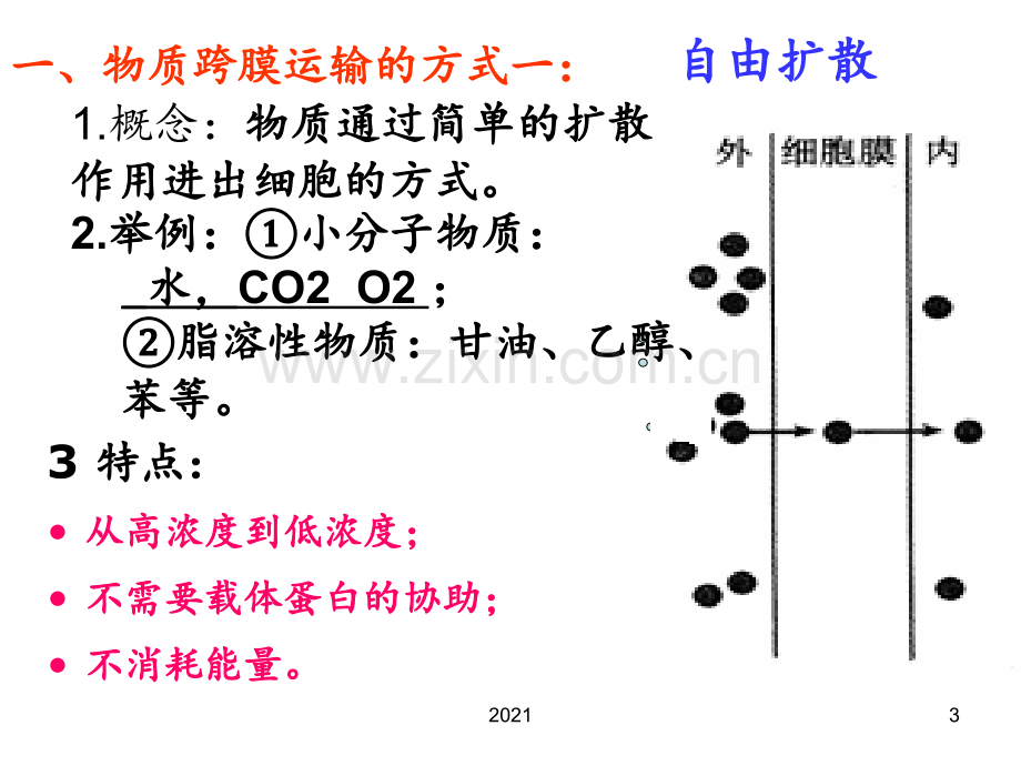 物质跨膜运输的方式复制PPT课件.ppt_第3页