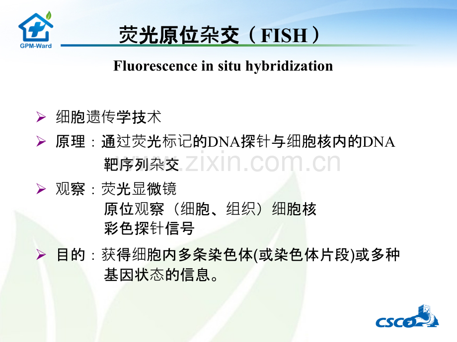 FISH技术在乳腺癌检测中的应用ppt课件.ppt_第2页