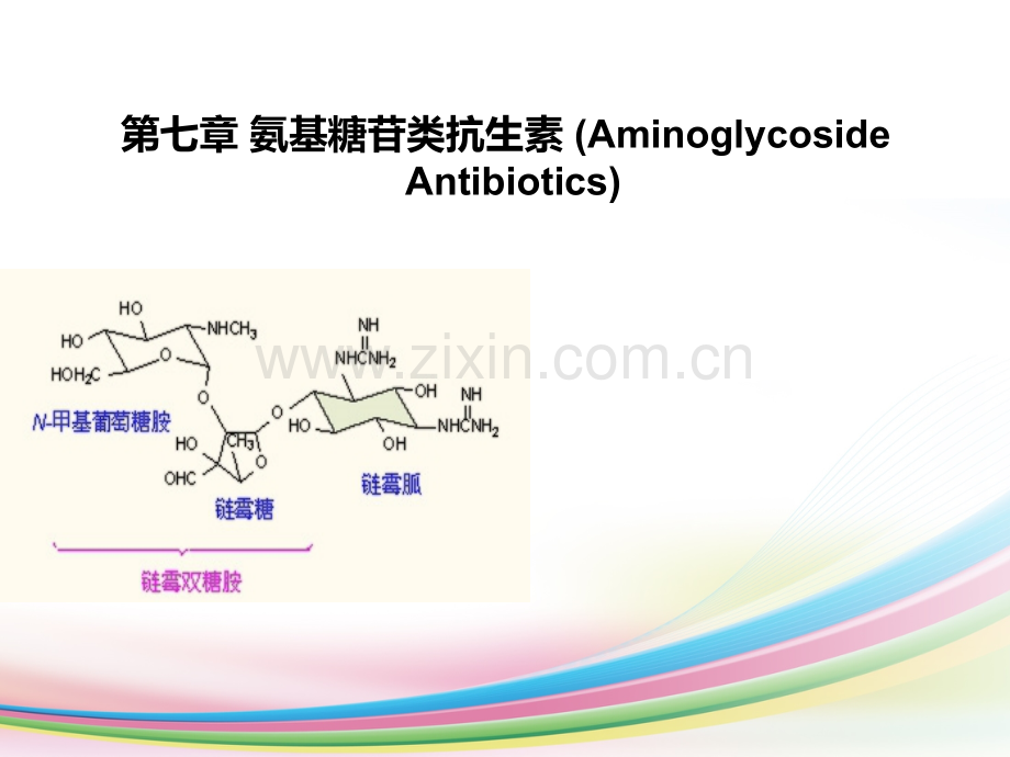 氨基糖苷类抗生素.ppt_第1页