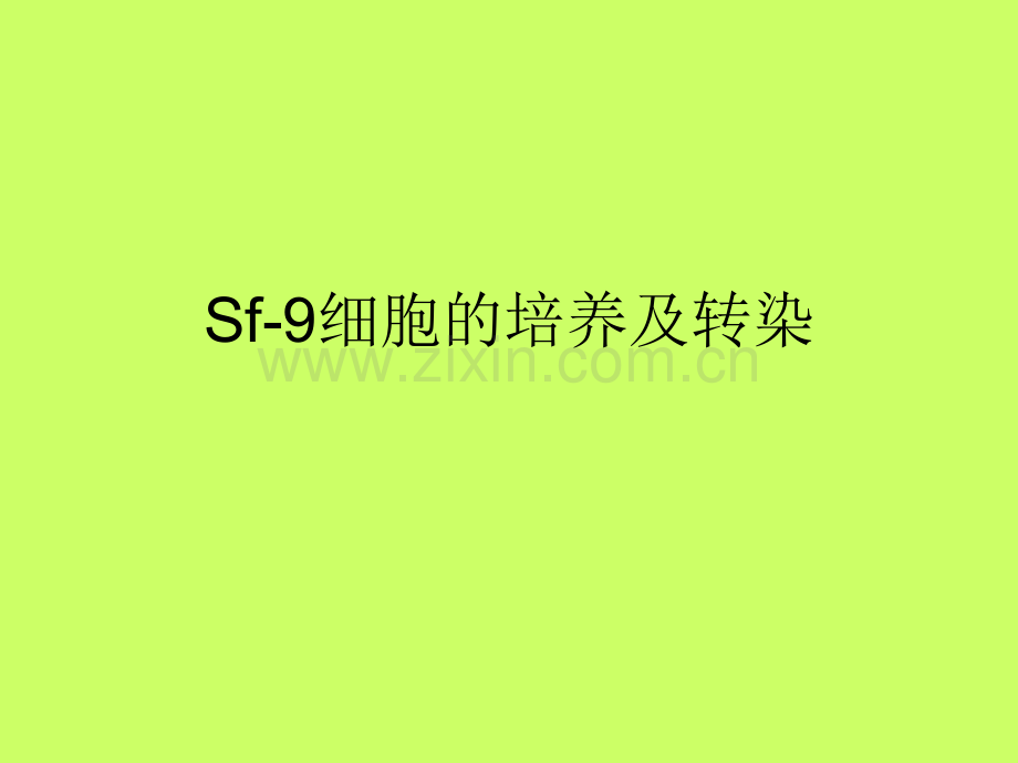 Sf9细胞的培养及转染.ppt_第1页