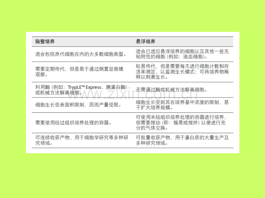 Sf9细胞的培养及转染.ppt_第3页