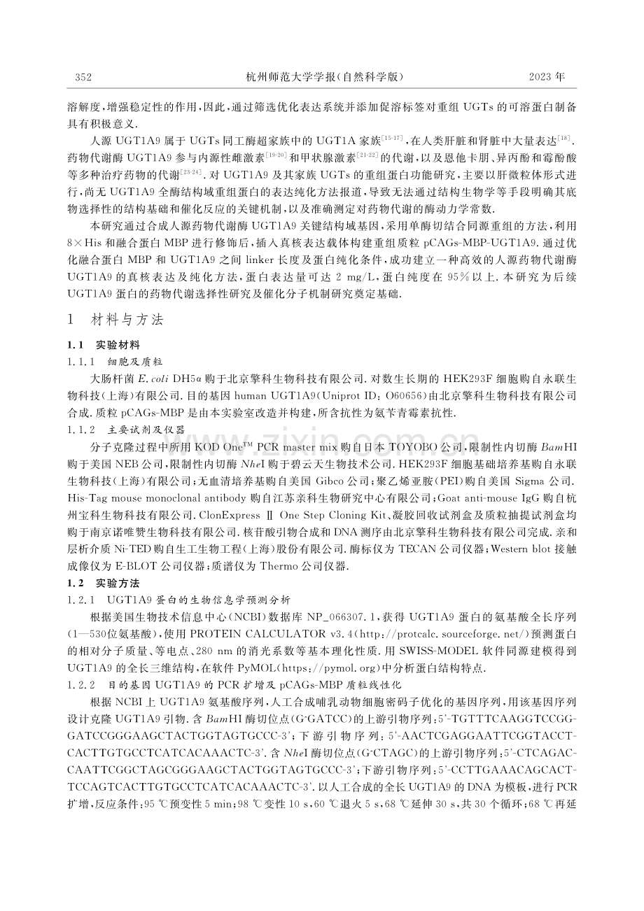 真核表达肝药酶UGT1A9可溶重组蛋白方法探索.pdf_第2页