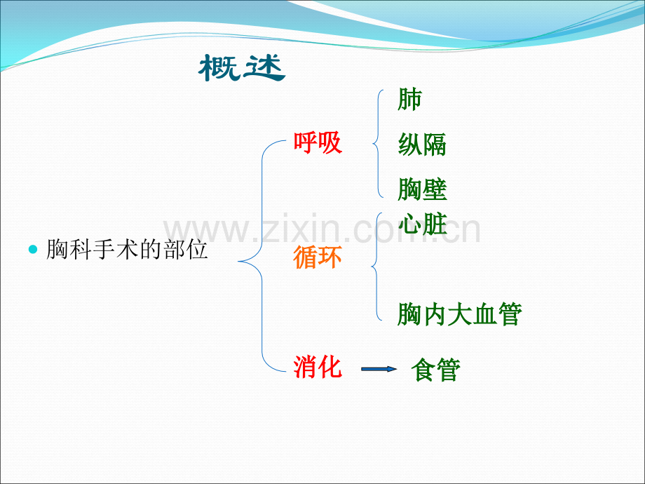 胸科手术的麻醉ppt.ppt_第2页