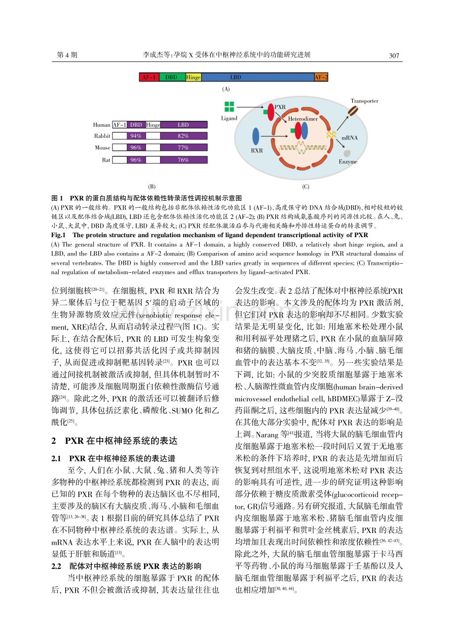 孕烷X受体在中枢神经系统中的功能研究进展.pdf_第3页