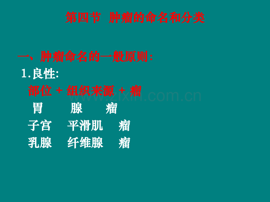 病理-肿瘤ppt课件.ppt_第2页