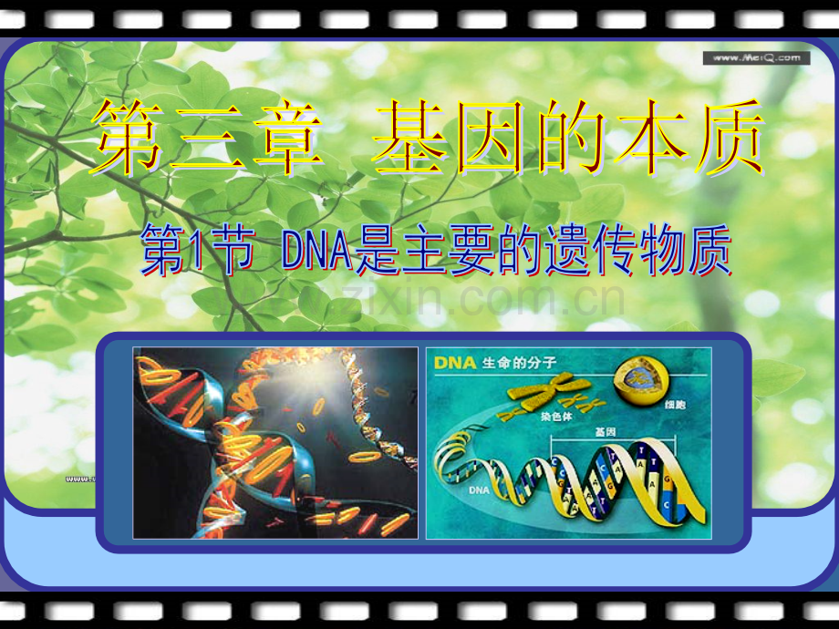 DNA是主要的遗传物质PPT(上课用).ppt_第1页