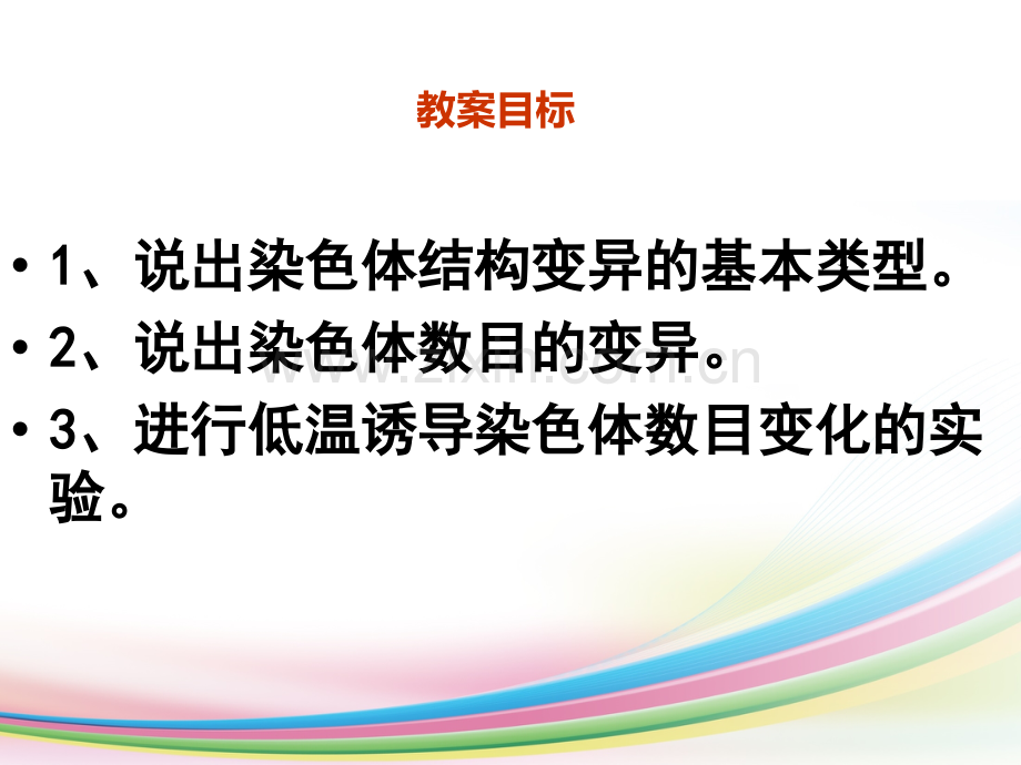 vv染色体变异.ppt_第2页